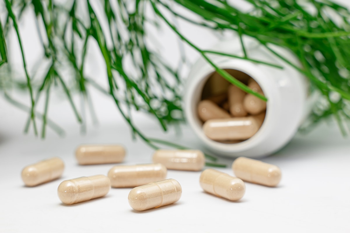 Plant-based nutrition for men's wellness